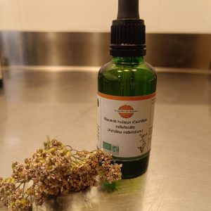 Macérât huileux d'achillée millefeuille