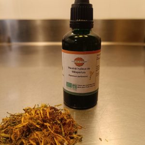 Macérât huileux de millepertuis