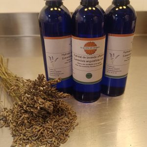 Hydrolat de lavande vraie